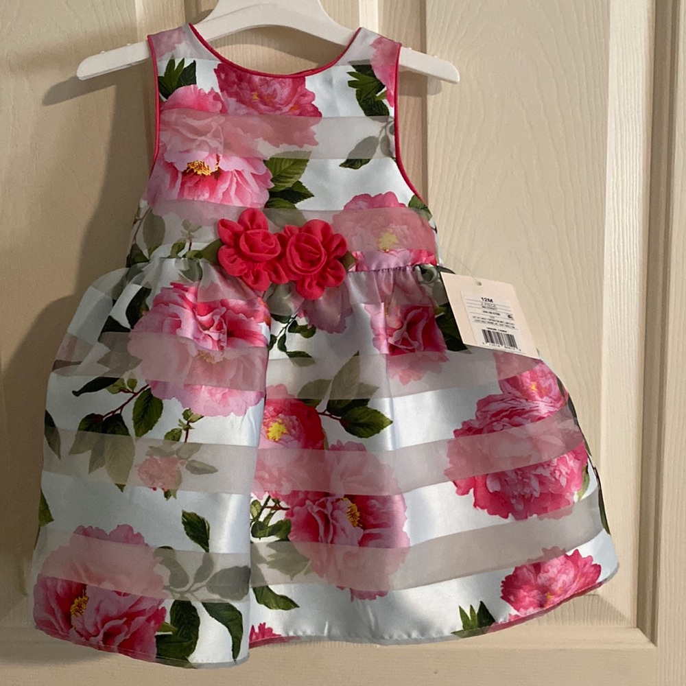 Adorable NWT 12 month flower dress